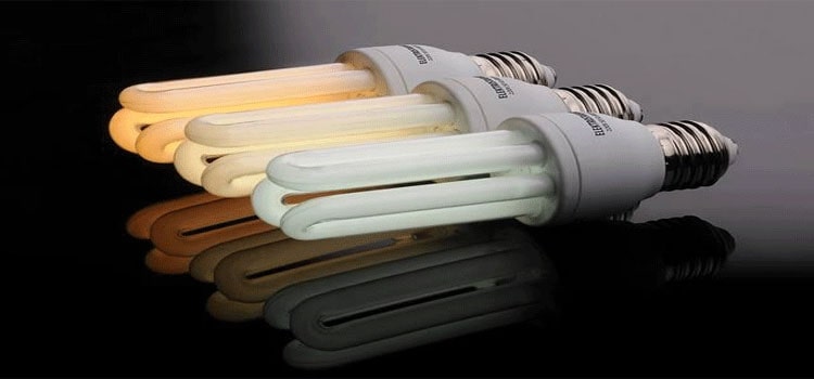 انواع لامپ فلورسنت 